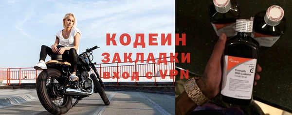 прущие грибы Лабытнанги