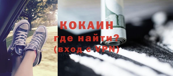 прущие грибы Лабытнанги