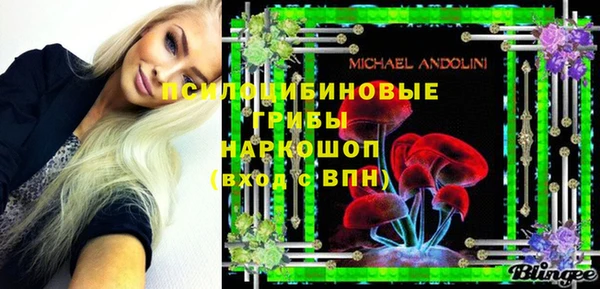 прущие грибы Лабытнанги