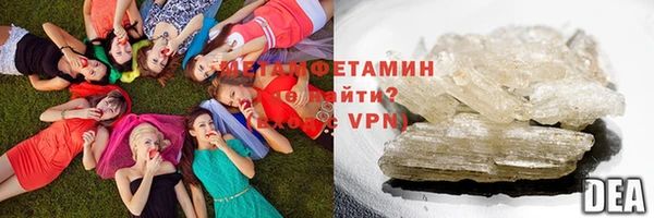 прущие грибы Лабытнанги