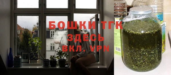 прущие грибы Лабытнанги
