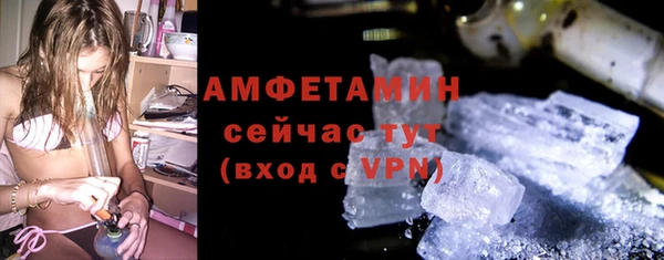 прущие грибы Лабытнанги
